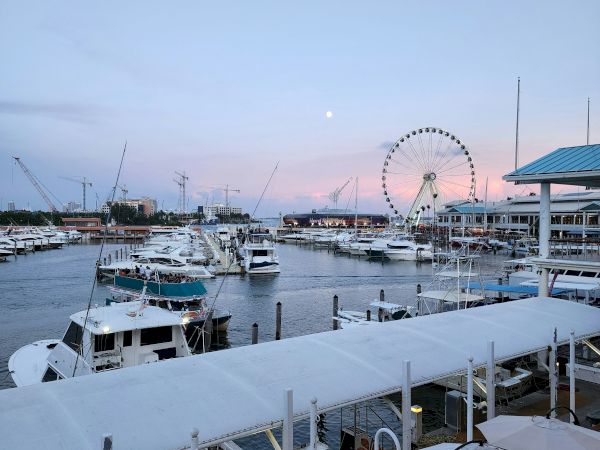 A harbor with numerous boats, a Ferris wheel, cranes, and a covered walkway under a pastel sky at sunset.